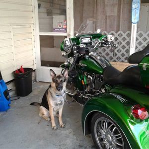 Meet your Posher, Gary